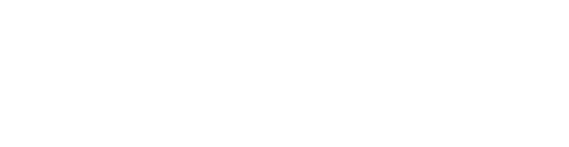 primeFusion